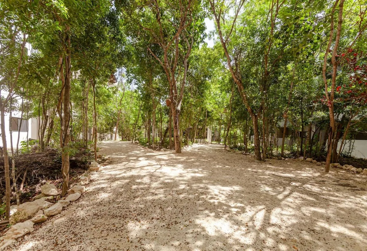 בית נופש פלאייה דל כרמן Coto8 Selvanova Gated, Wifi 200Bm, King,6Pools